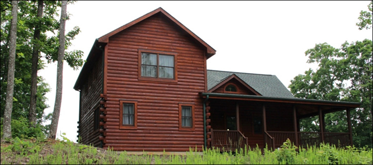 Professional Log Home Borate Application  Perry County, Ohio